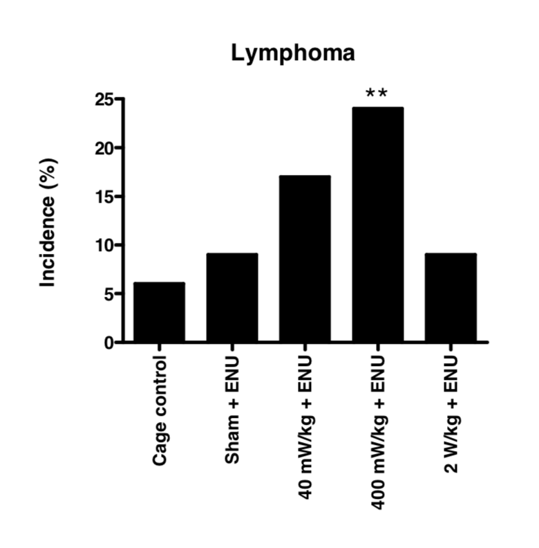 Tumor promotion by exposure to radiofrequency