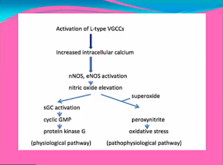 RFF via VGCC by Martin Pall