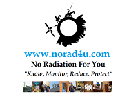 No Radiation For You Logo