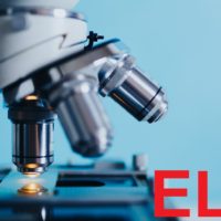 Key Studies on ELF EMF