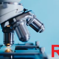 Key Studies on RF EMF