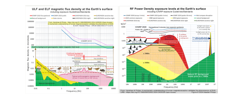 radiation exposure levels across the frequency spectrum, natural (green) and man-made (yellow, beige and red by year), the standards, and the growth in exposure over the years. Source: the article by Alasdair Philips.