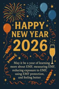 Read more about the article Happy New Year 2026